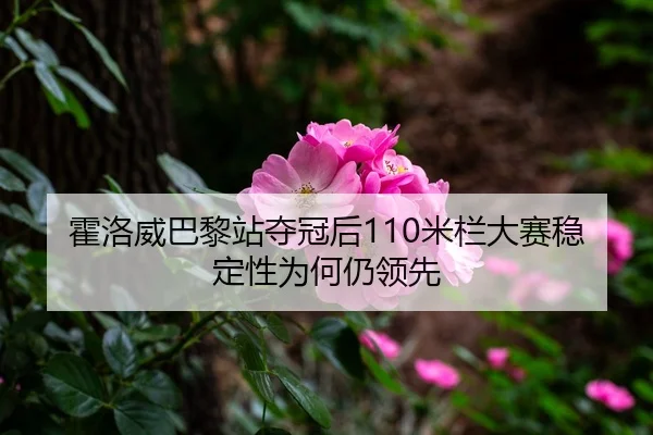 霍洛威巴黎站夺冠后110米栏大赛稳定性为何仍领先