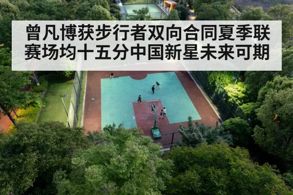 chinese basketball player