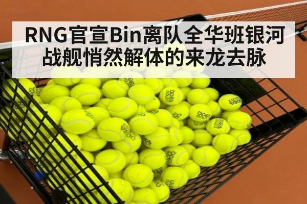 RNG官宣Bin离队全华班银河战舰悄然解体的来龙去脉